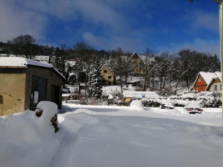 Guenstige, Schoene Ferienwohnung Im Wanderparadies Wernigerode Buitenkant foto